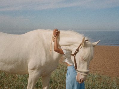 white horse on green grass field