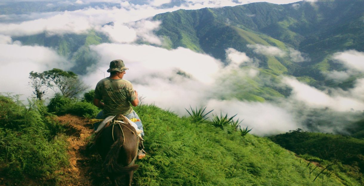 person riding a horse