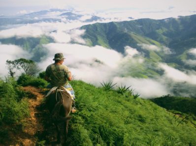person riding a horse